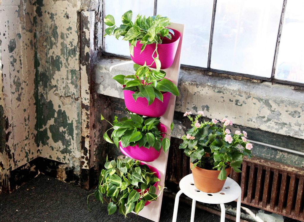 How to create a portable vertical garden