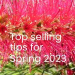 Top Selling tips for Spring 2023