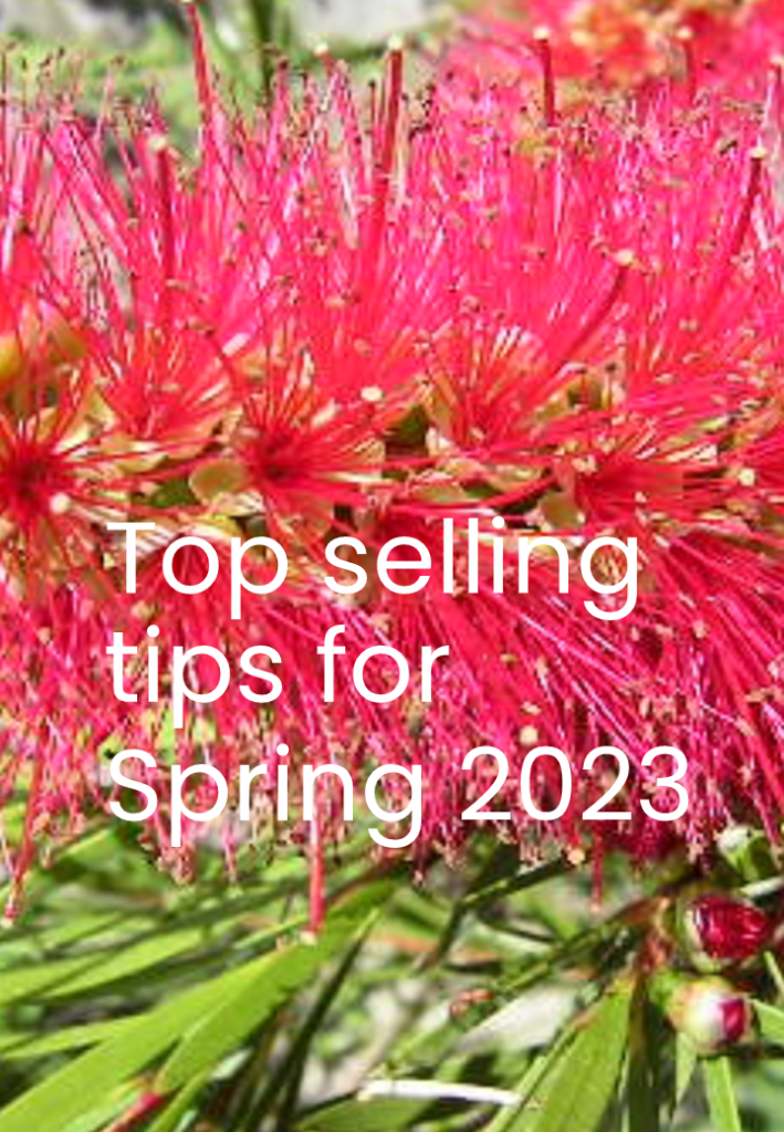 Top Selling tips for Spring 2023